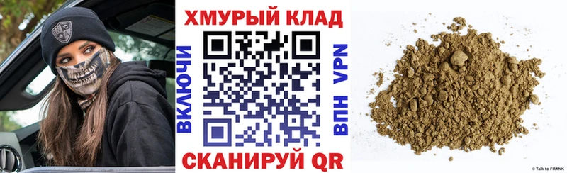 ГЕРОИН хмурый Жуков