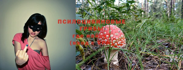 скорость mdpv Липки