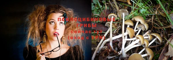 мяу мяу кристалл Лихославль