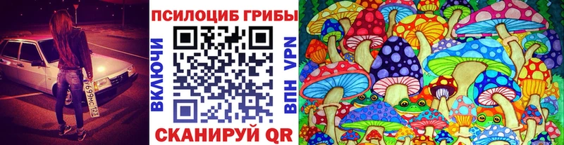 kraken ссылки  Жуков  Псилоцибиновые грибы прущие грибы 